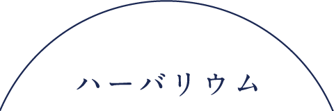 ハーバリウム
